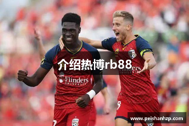 介绍热博rb88